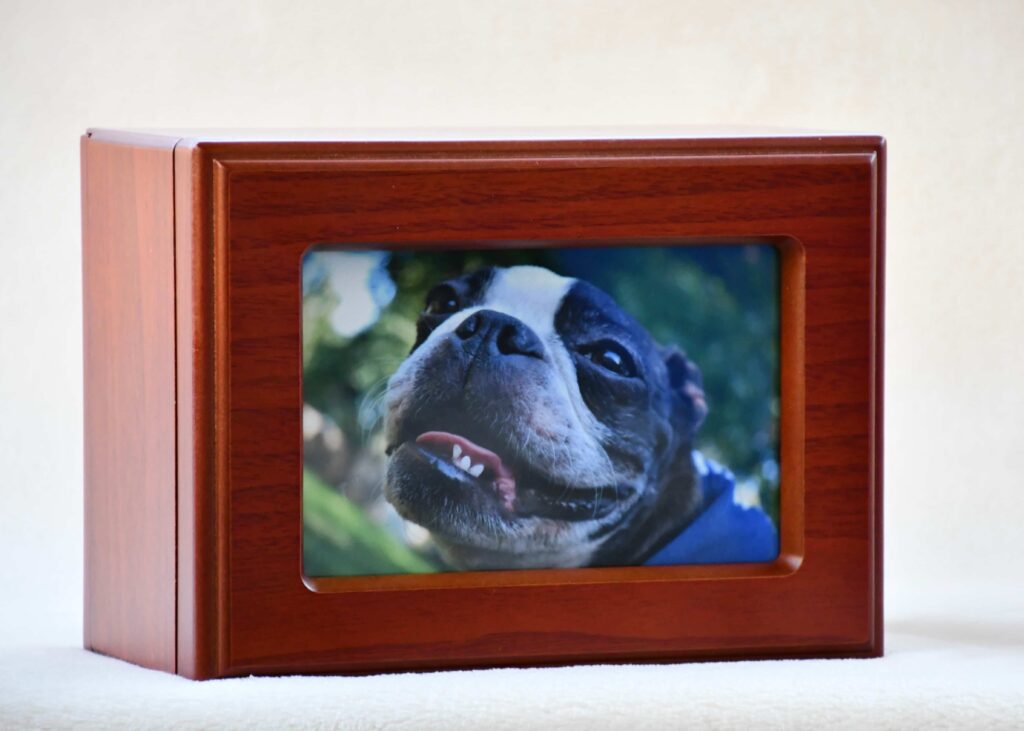 Cherry wood photo urn displaying a framed picture of a dog, an upgrade option from Furevergreen Aquamation that combines a keepsake photo frame with a memorial urn.