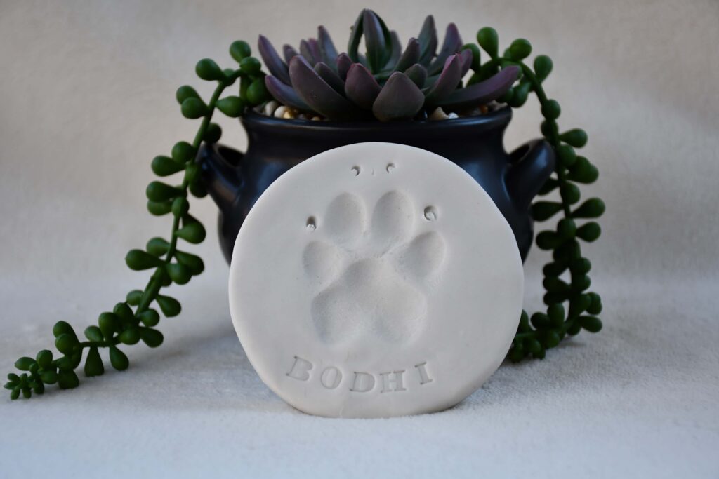 Round clay keepsake featuring a pet paw imprint with the name “Bodhi” engraved below, displayed in front of a small black planter with trailing succulents.