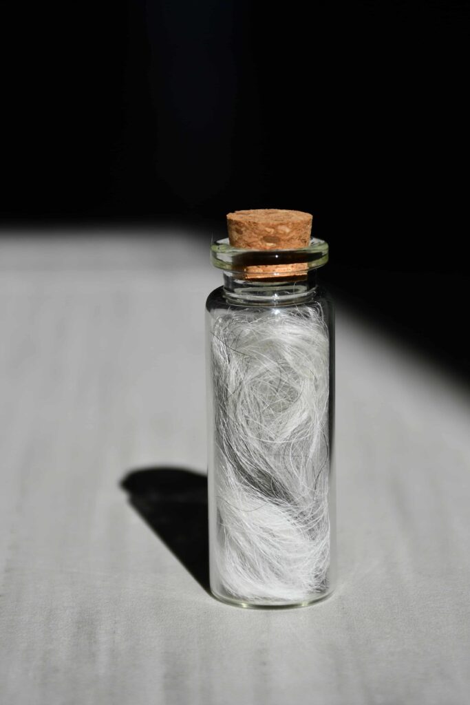 Glass bottle keepsake with a cork top, containing a small lock of white pet fur, symbolizing a loving remembrance of a cherished companion.
